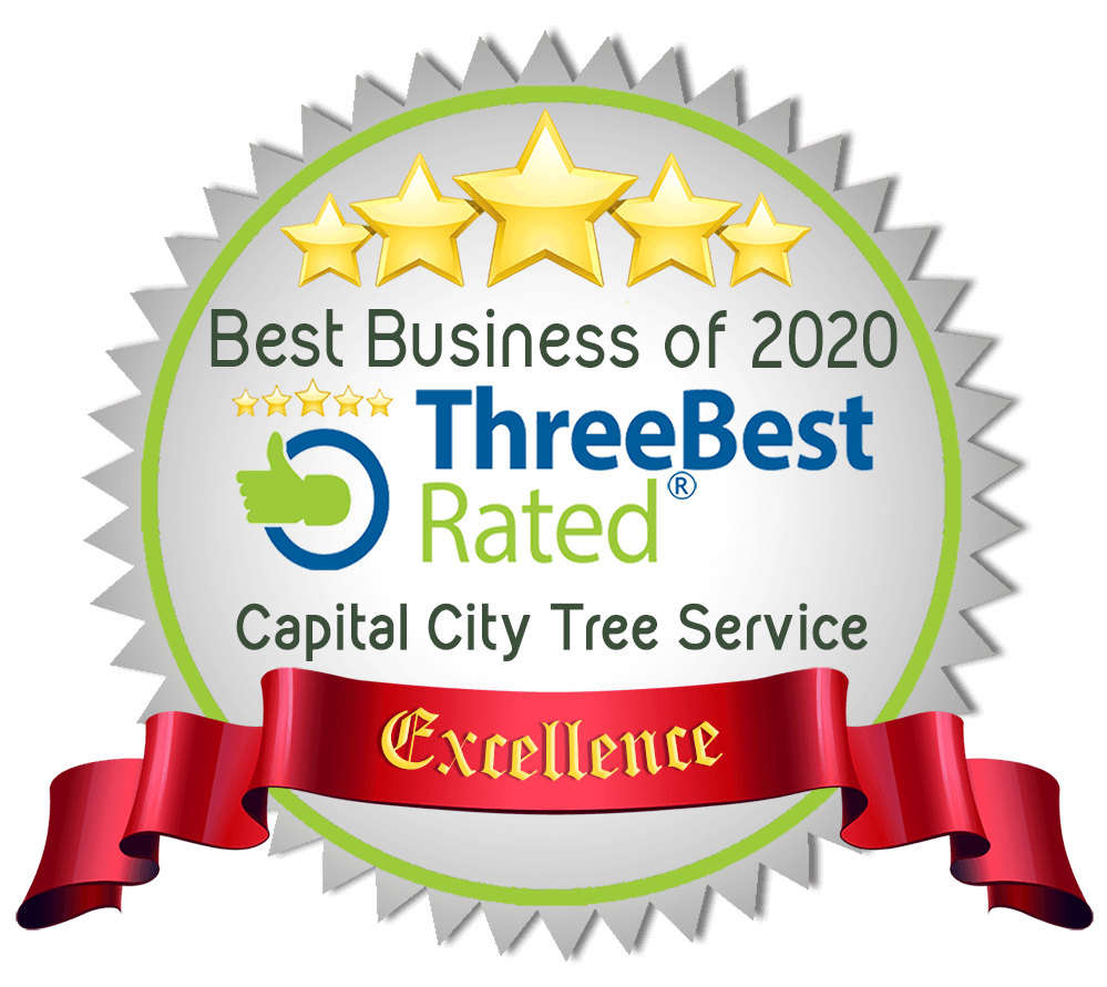 voted top 3 tree service st albert 2020