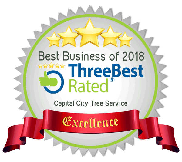 voted top 3 tree service st albert 2018